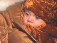 Harsiesis baby